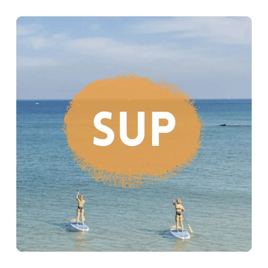 Sandy Point Progressive Sports SUP Rental Single Person – Image 1