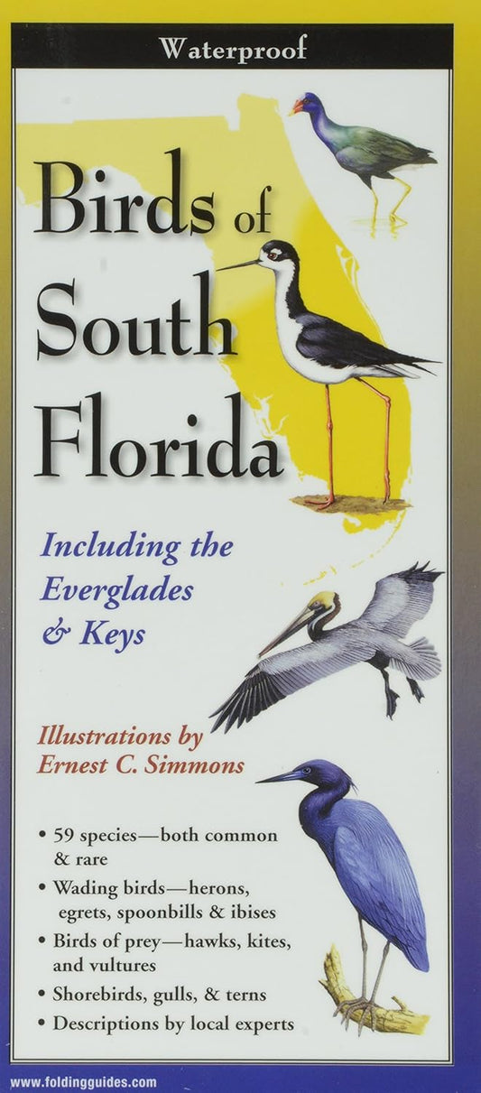 Birds of South Florida: Folding Guide (Foldingguides)