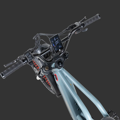 Retrospec Grateful Dead Valen Rev+ Fat Tire Electric Bike