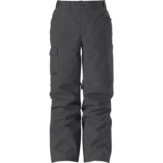 The North Face Men's Freedom Pant grey