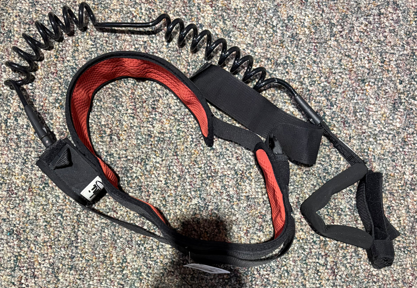 Harness Large USED