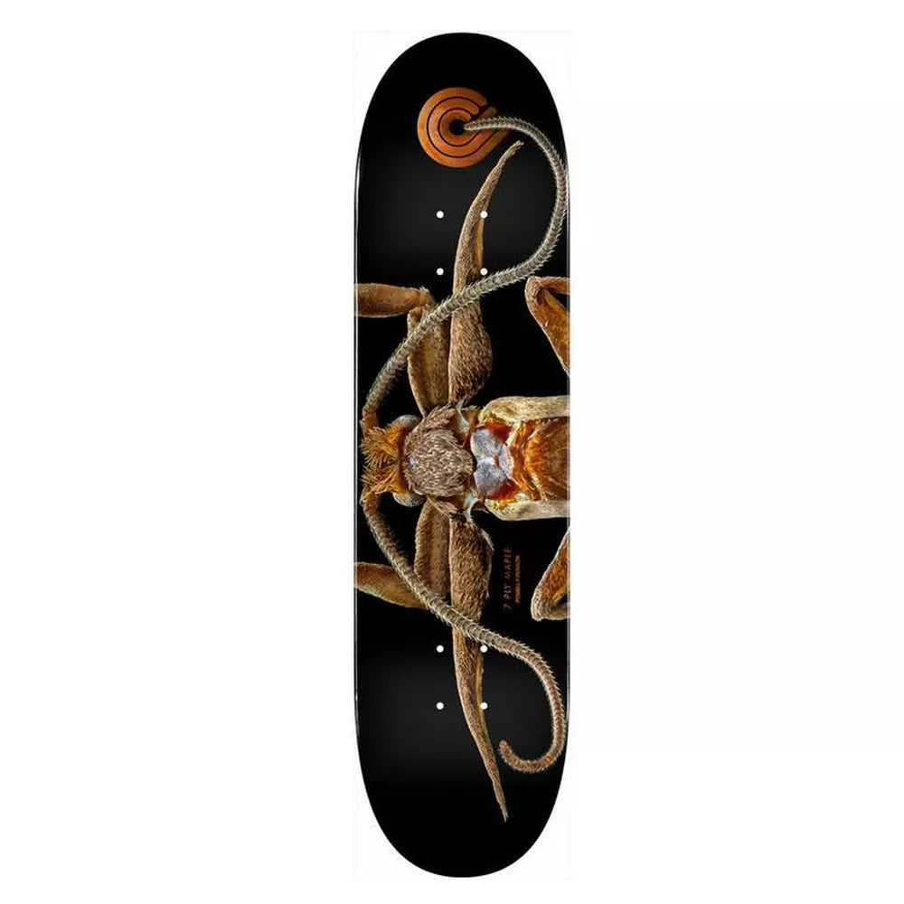 Powell Peralta BISS Marion Moth Skateboard Deck 8.25"