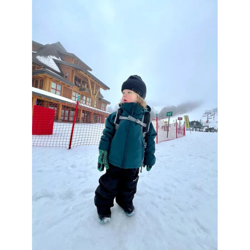 Burton Toddlers' Maven 2L Bib Pants Snowboard Bib – Image 4