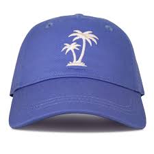 Next Level BB Cap Very Peri