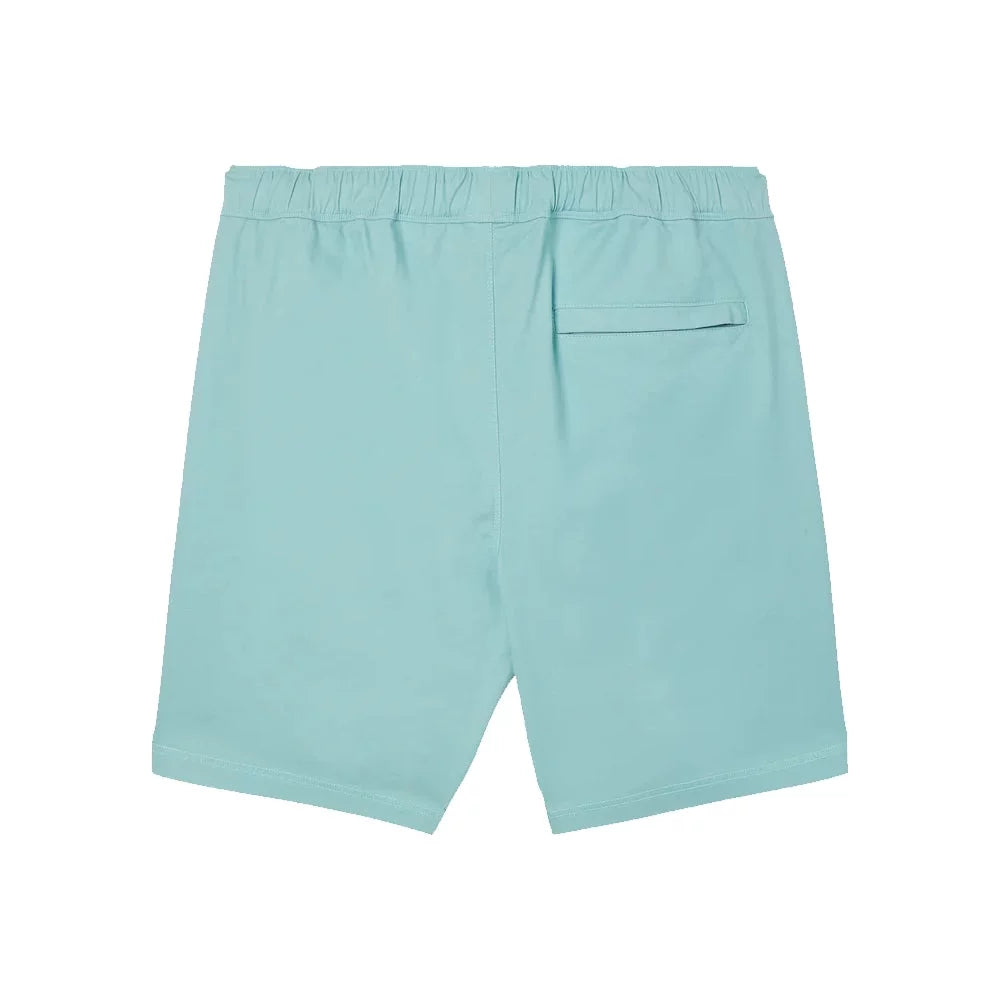 O'Neill OG Porter Shorts Aqua Large Mens Shorts – Image 2