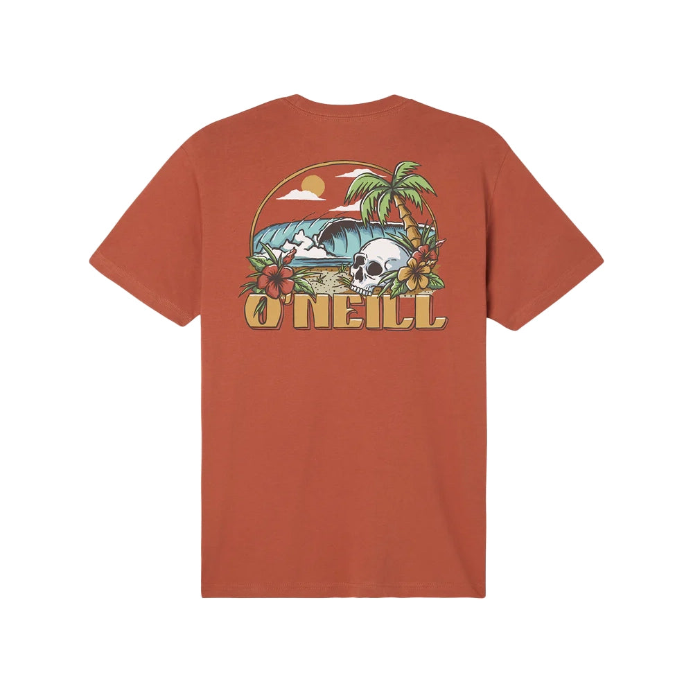 O'Neill Hidden Point Short Sleeve Tee Shirt Clay Small