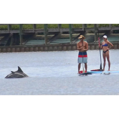 Sandy Point Progressive Sports Hobie Wave Sailboat Rental Two Person Sailing Rental – Image 7