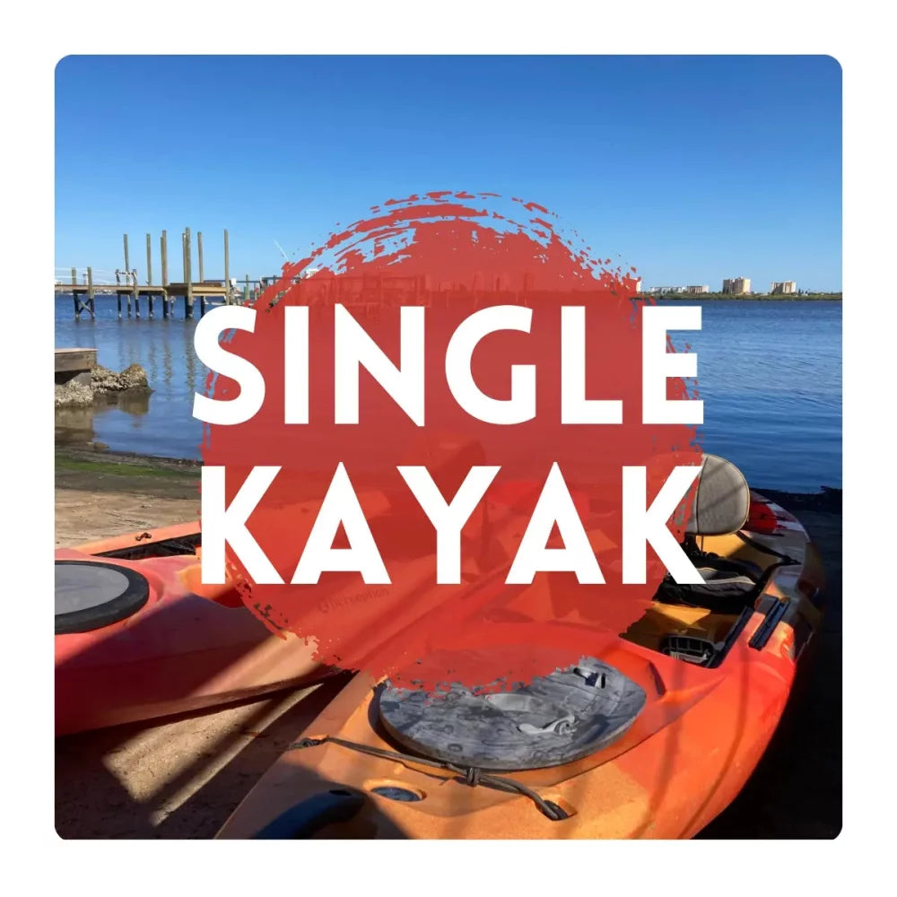 Sandy Point Progressive Sports Kayak Rental Single Person