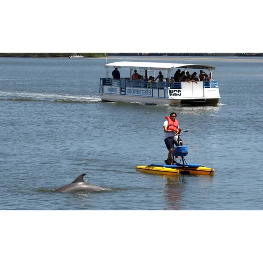 Sandy Point Progressive Sports Kayak Rental Single Person – Image 6