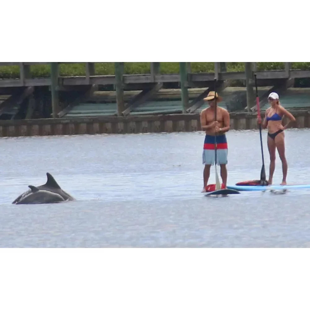 Sandy Point Progressive Sports SUP Rental Single Person – Image 7