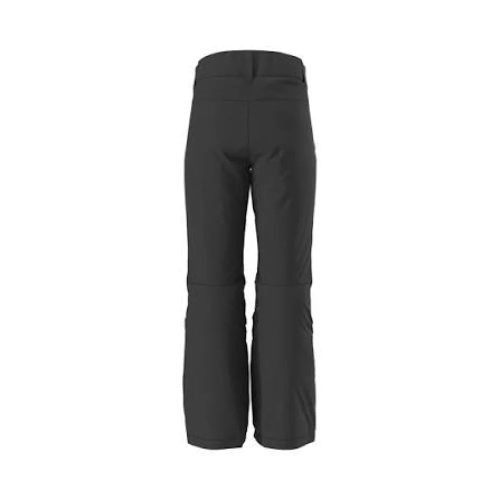 The North Face Womens Freedom Insulated Pant Black Snowbaord Pants – Image 1