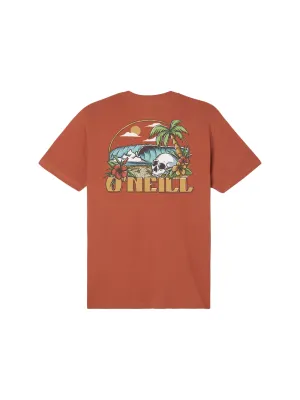 O'Neill Hidden Point Short Sleeve Tee Shirt